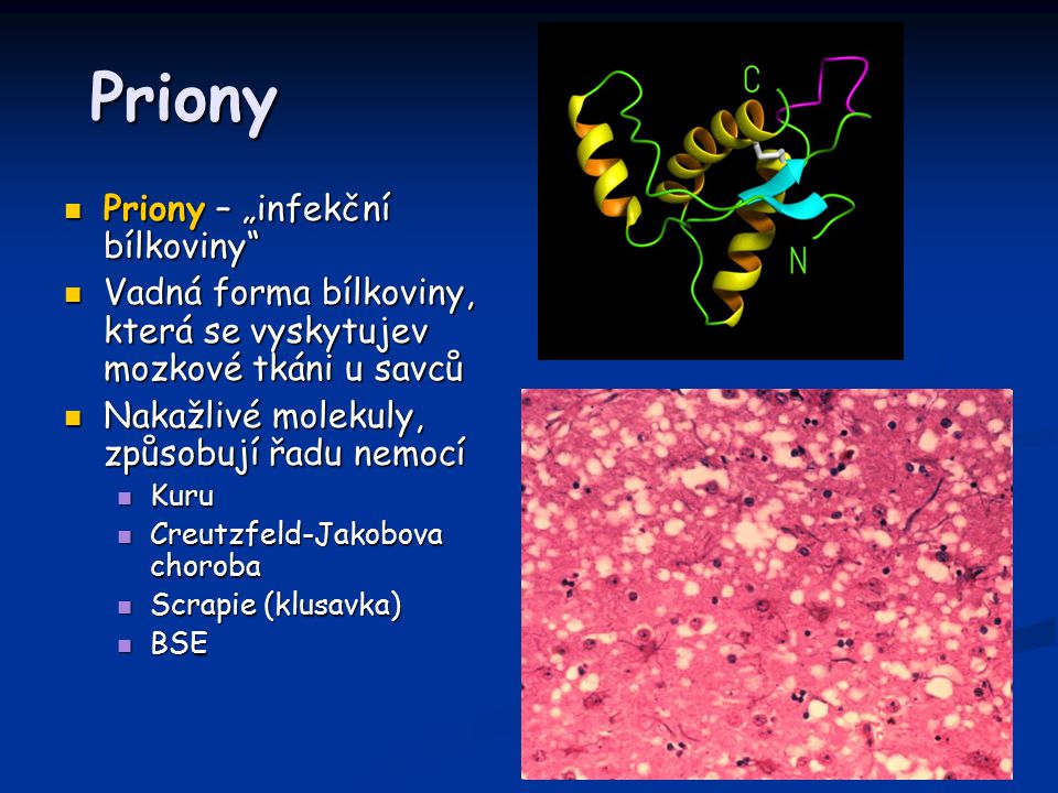 Priony Priony – „infekční bílkoviny