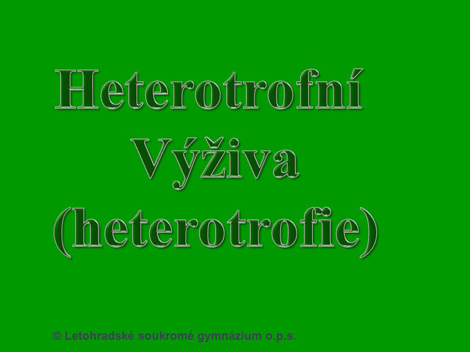 Heterotrofní Výživa (heterotrofie)