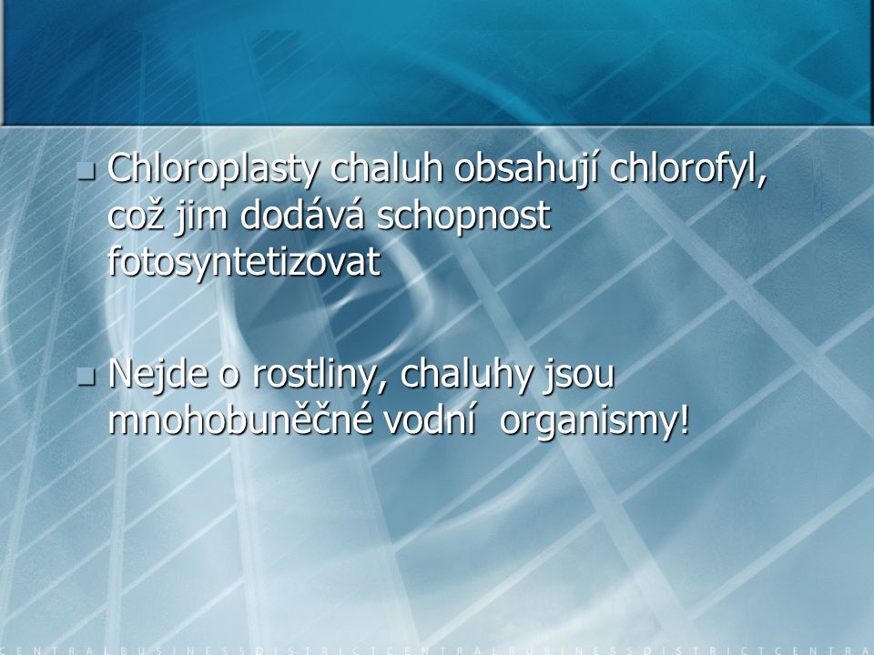 Chloroplasty chaluh obsahují chlorofyl, což jim dodává schopnost fotosyntetizovat