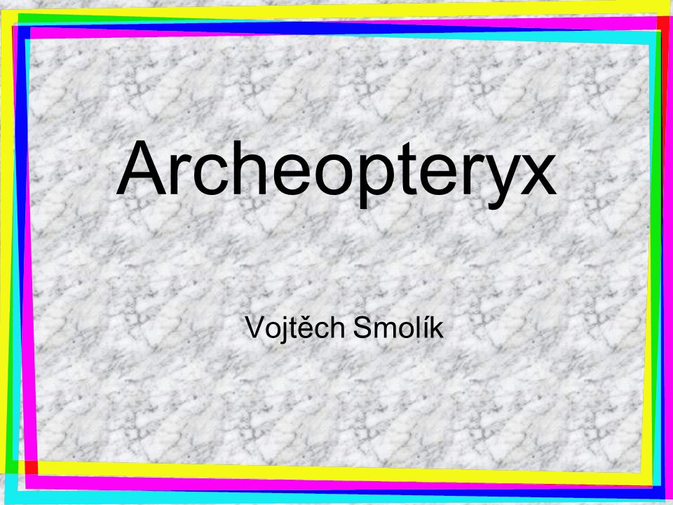 Archeopteryx Vojtěch Smolík