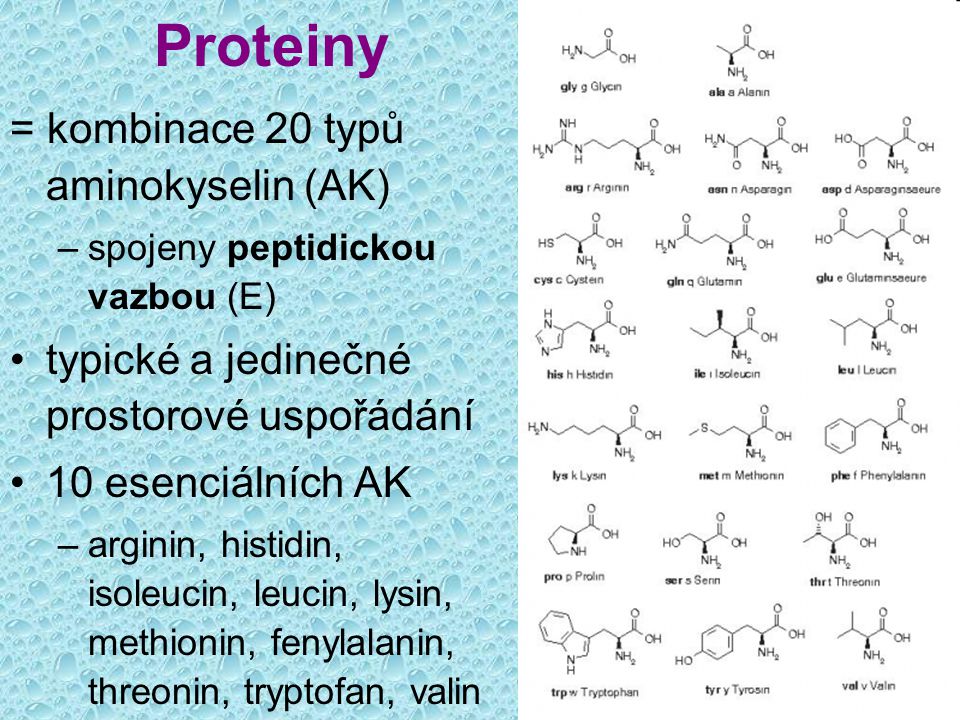 Proteiny = kombinace 20 typů aminokyselin (AK)