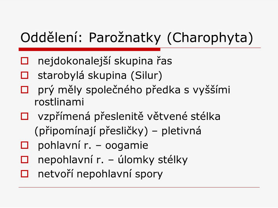 Oddělení: Parožnatky (Charophyta)