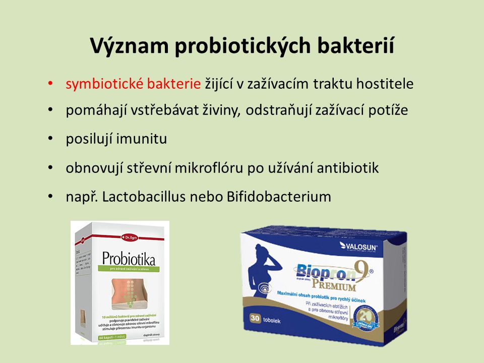 Význam probiotických bakterií