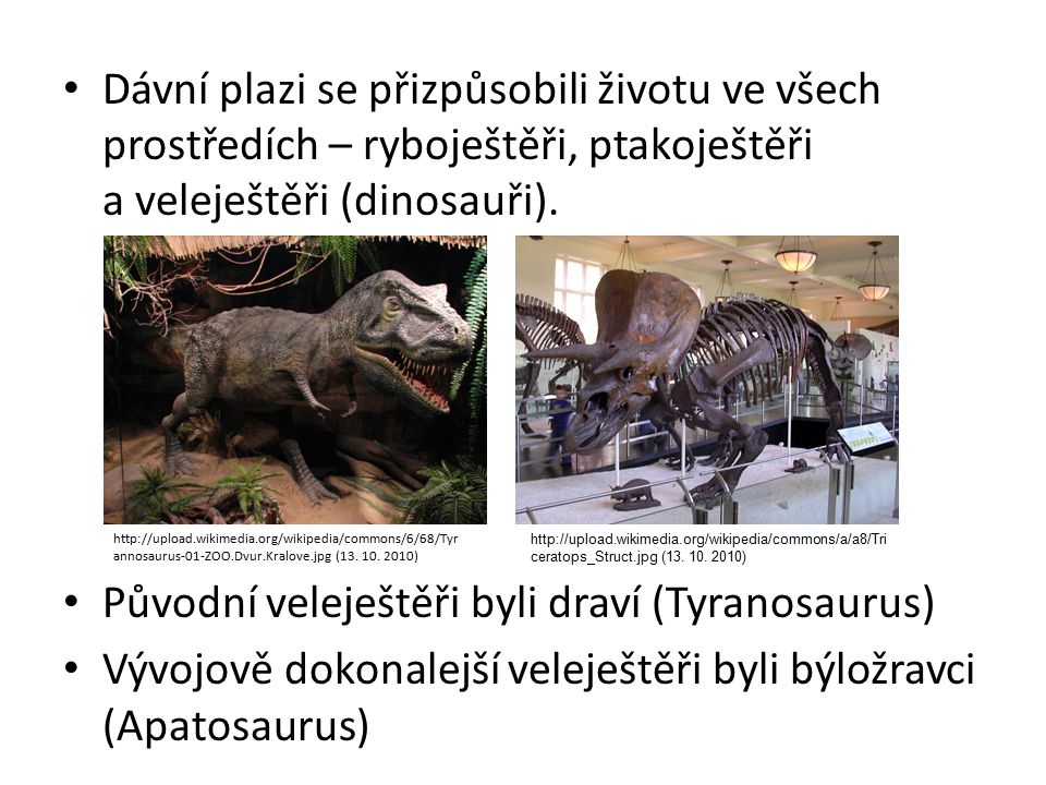 Původní veleještěři byli draví (Tyranosaurus)