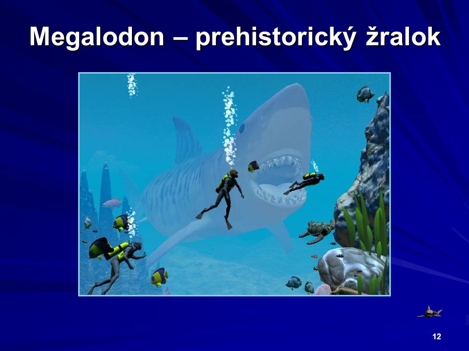 Megalodon – prehistorický žralok