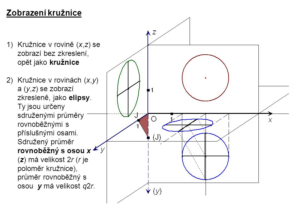 Zobrazení kružnice Kružnice v rovině (x,z) se zobrazí bez zkreslení, opět jako kružnice.