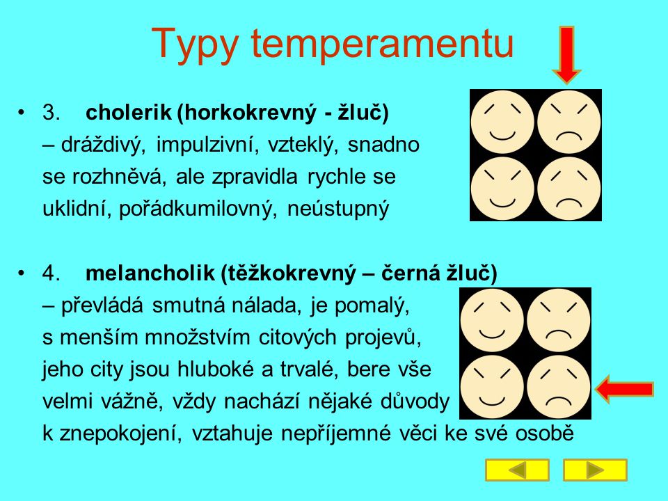 Typy temperamentu 3. cholerik (horkokrevný - žluč)