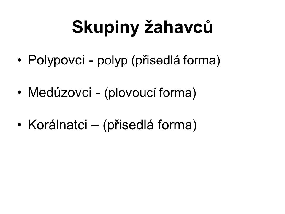 Skupiny žahavců Polypovci - polyp (přisedlá forma)