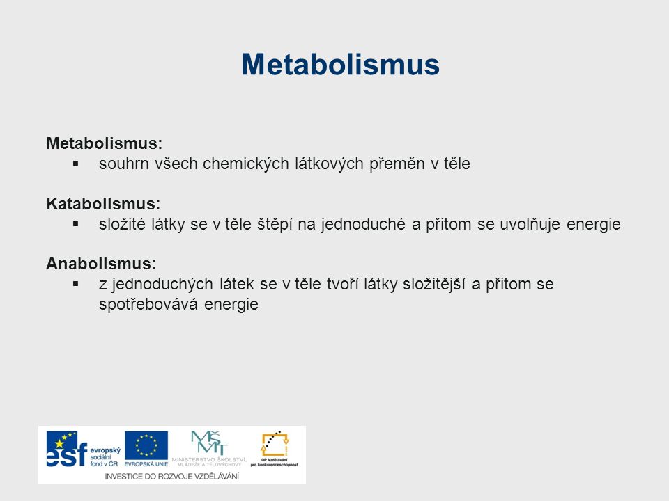 Metabolismus Metabolismus: