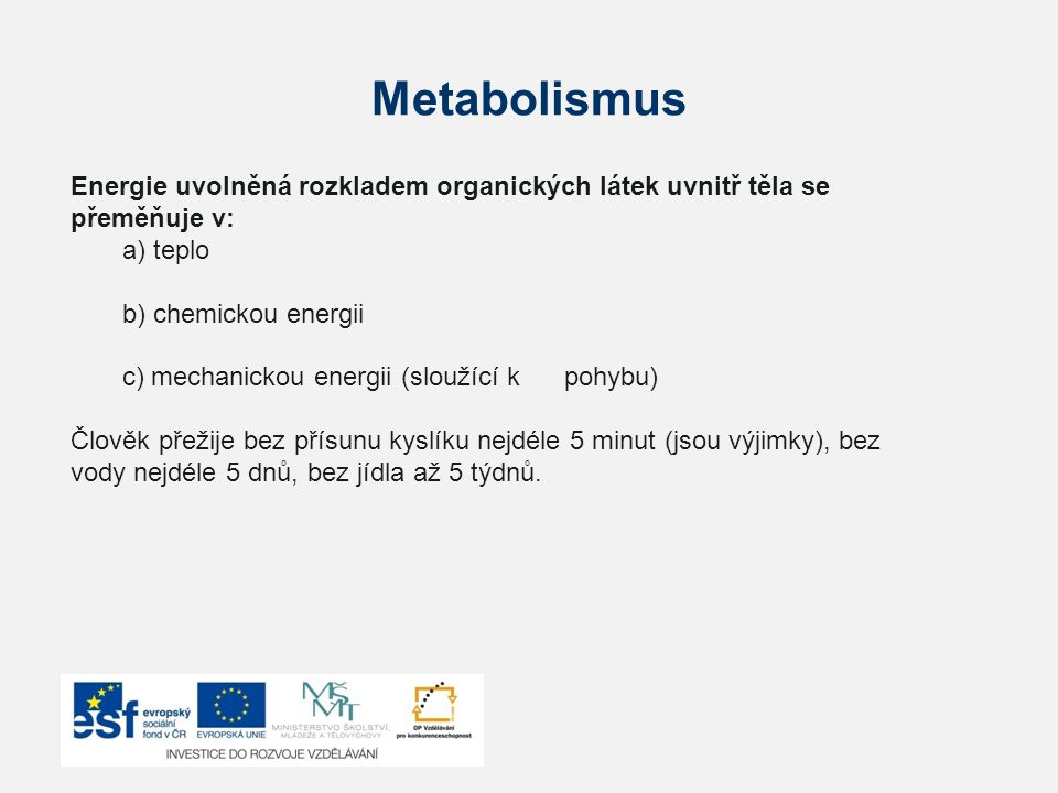 Metabolismus Energie uvolněná rozkladem organických látek uvnitř těla se přeměňuje v: a) teplo. b) chemickou energii.