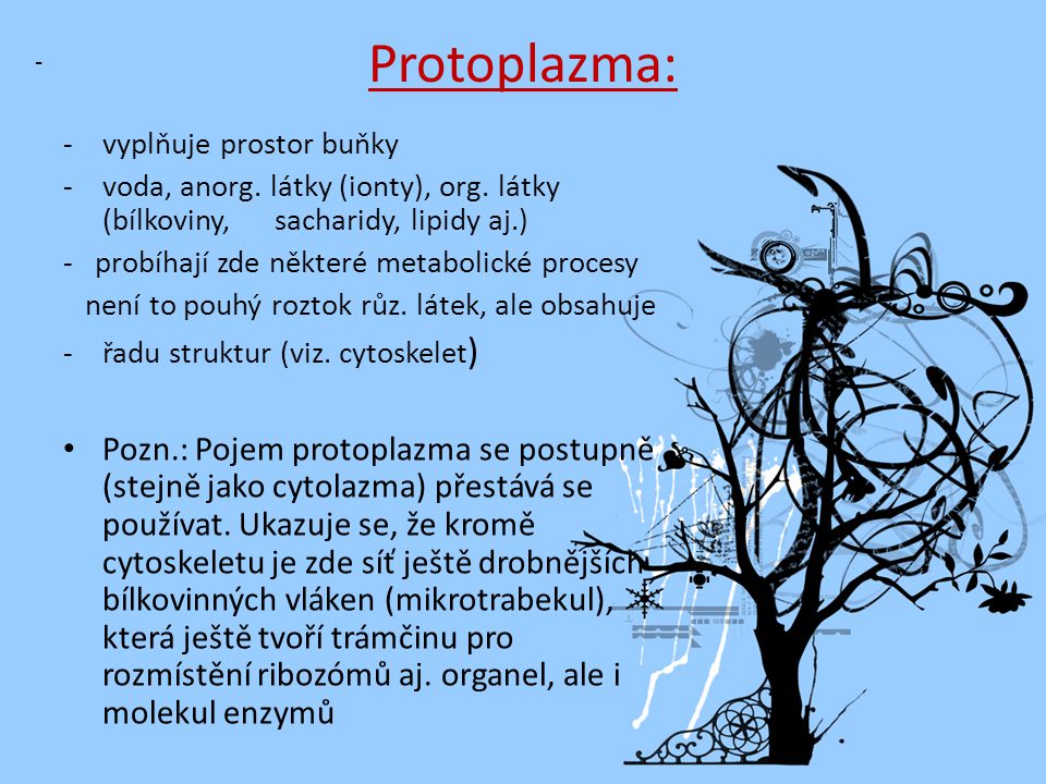 Protoplazma: vyplňuje prostor buňky. - voda, anorg. látky (ionty), org. látky (bílkoviny, sacharidy, lipidy aj.)