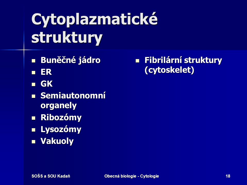 Cytoplazmatické struktury