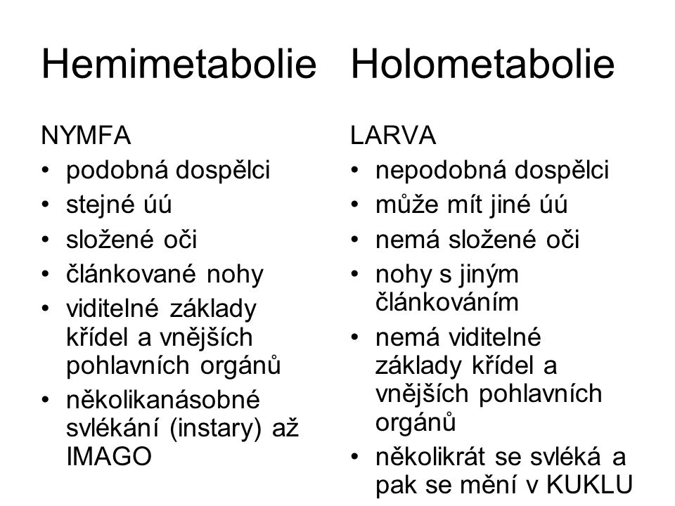 Hemimetabolie Holometabolie