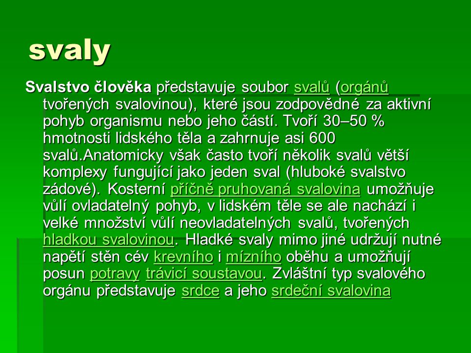 svaly