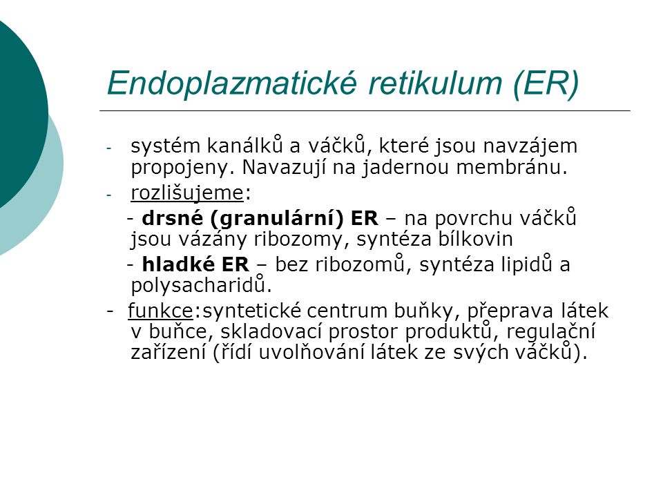 Endoplazmatické retikulum (ER)