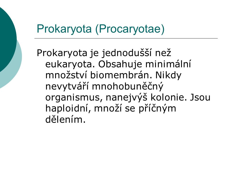 Prokaryota (Procaryotae)