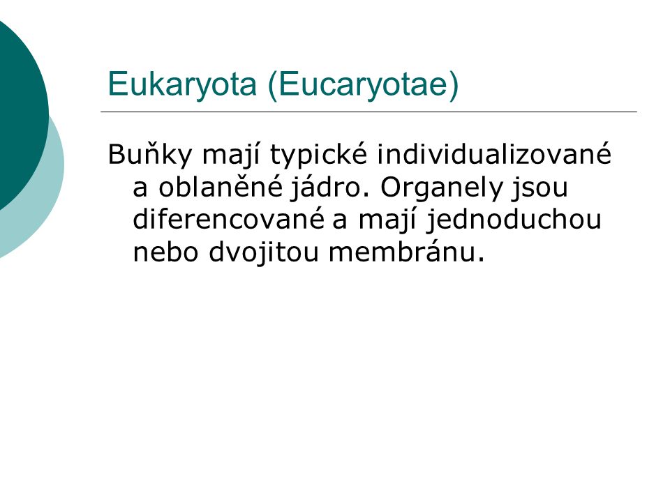 Eukaryota (Eucaryotae)