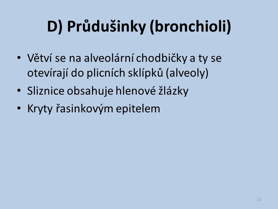 D) Průdušinky (bronchioli)