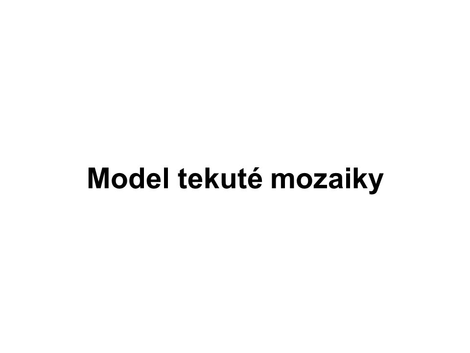Model tekuté mozaiky