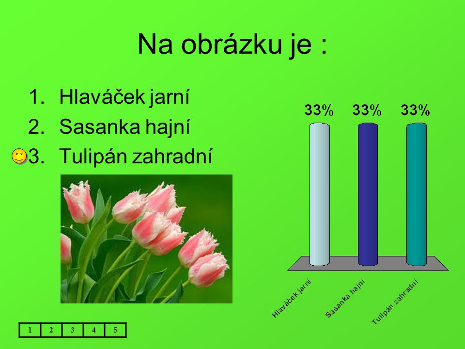 Na obrázku je : Hlaváček jarní Sasanka hajní Tulipán zahradní