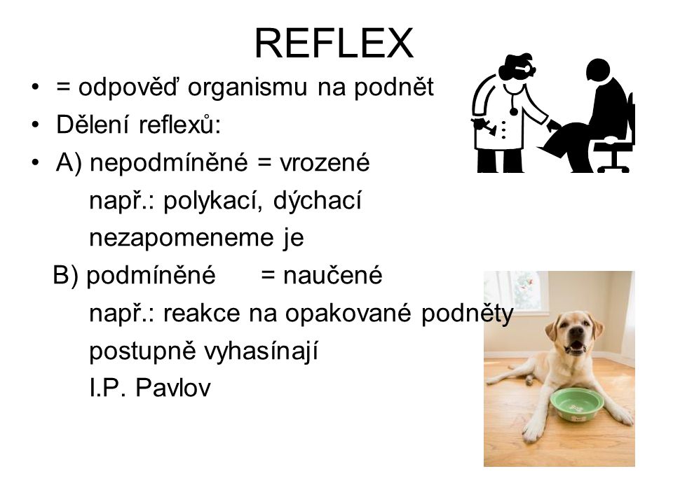 REFLEX = odpověď organismu na podnět Dělení reflexů: