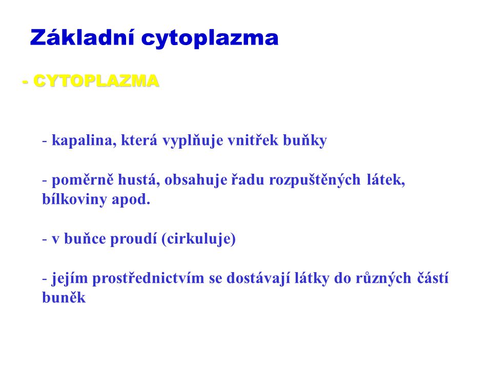 Základní cytoplazma - CYTOPLAZMA