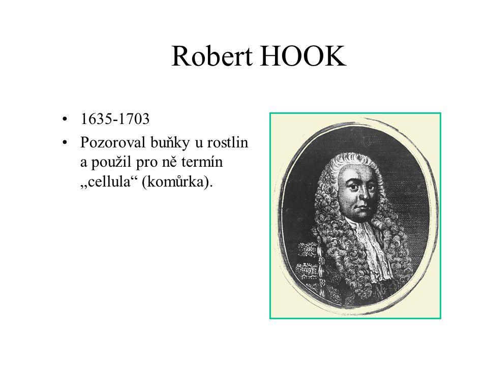 Robert HOOK Pozoroval buňky u rostlin a použil pro ně termín „cellula (komůrka).