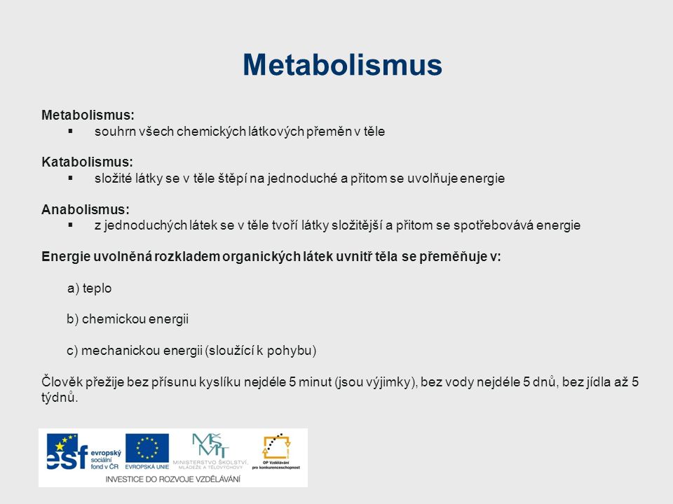 Metabolismus Metabolismus: