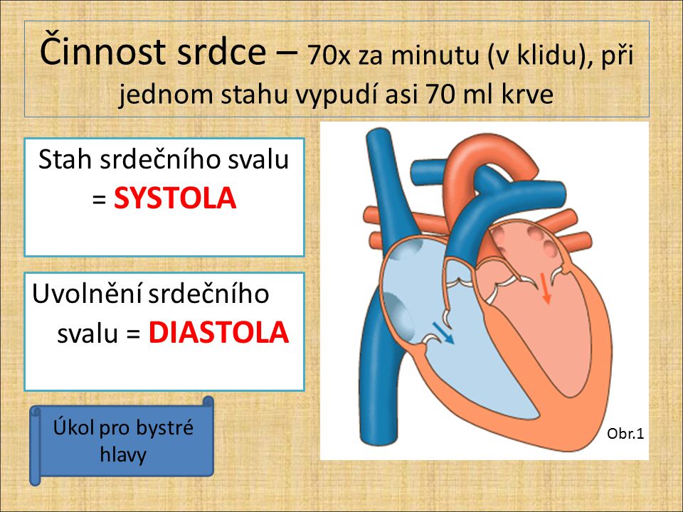 Stah srdečního svalu = SYSTOLA