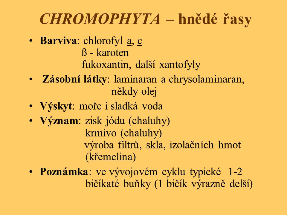 CHROMOPHYTA – hnědé řasy