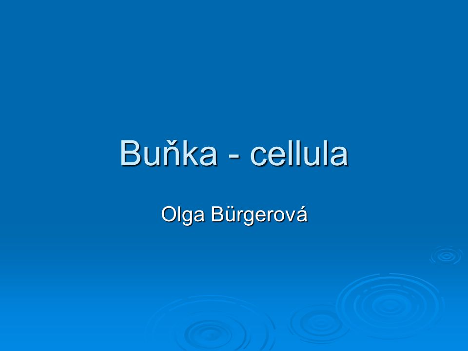 Buňka - cellula Olga Bürgerová