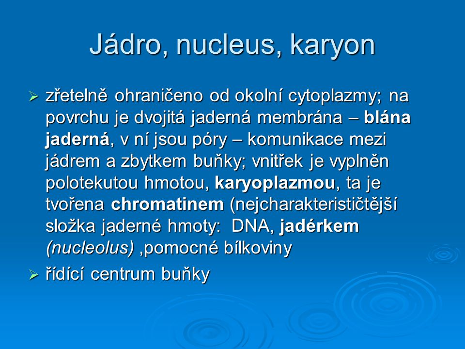 Jádro, nucleus, karyon