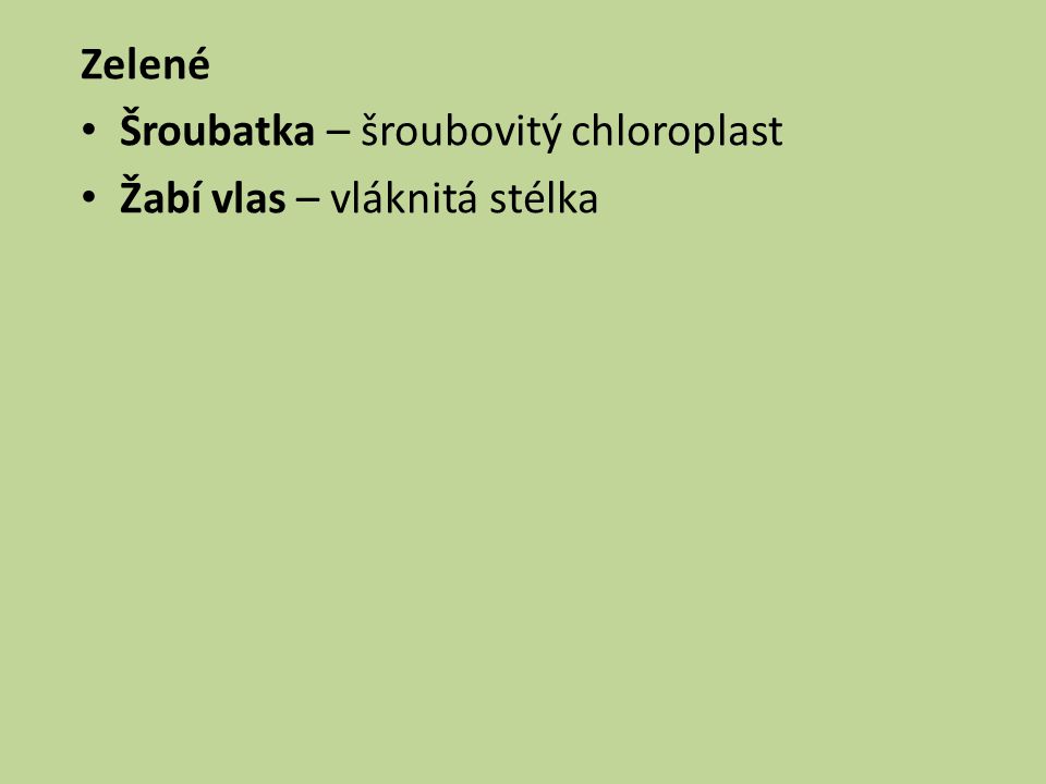 Zelené Šroubatka – šroubovitý chloroplast Žabí vlas – vláknitá stélka