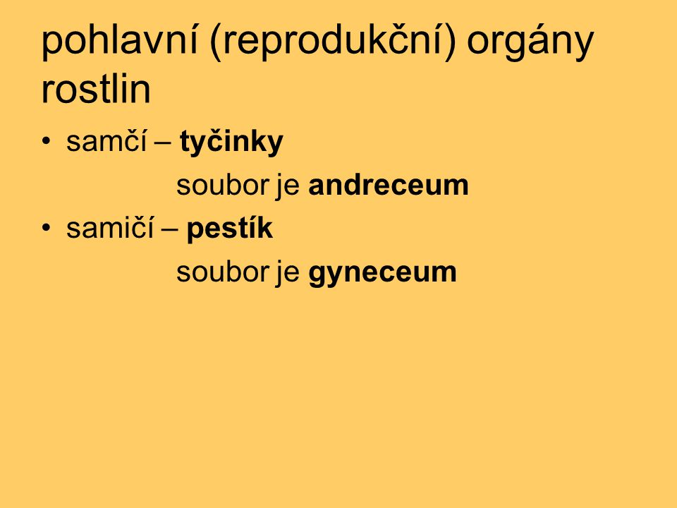 pohlavní (reprodukční) orgány rostlin