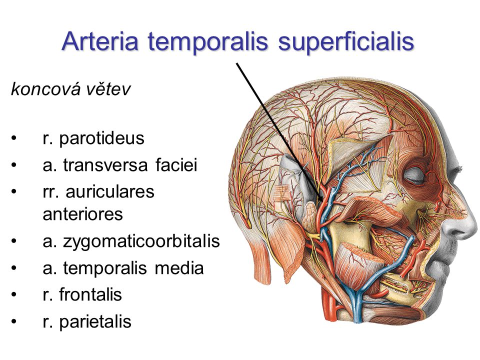 Superficial anal fissure