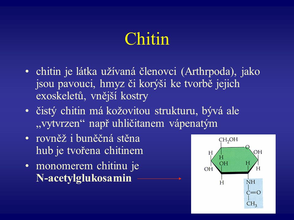 Chitin chitin je látka užívaná členovci (Arthrpoda), jako jsou pavouci, hmyz či korýši ke tvorbě jejich exoskeletů, vnější kostry.