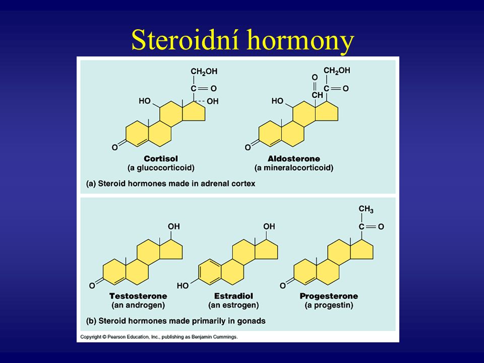 Steroidní hormony