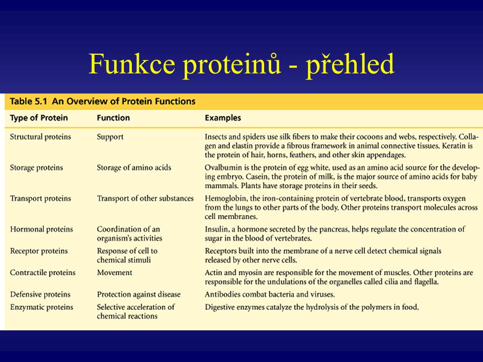 Funkce proteinů - přehled