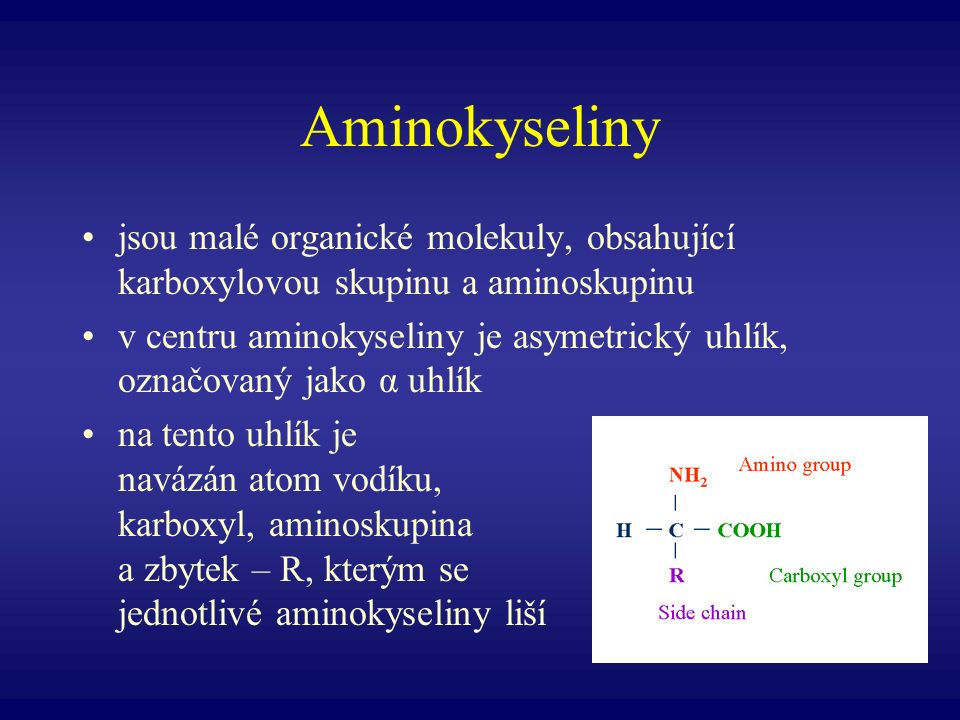 Aminokyseliny jsou malé organické molekuly, obsahující karboxylovou skupinu a aminoskupinu.