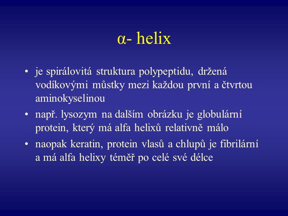 α- helix je spirálovitá struktura polypeptidu, držená vodíkovými můstky mezi každou první a čtvrtou aminokyselinou.