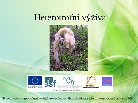 Heterotrofní výživa Tento projekt je spolufinancován Evropským sociálním fondem a státním rozpočtem České republiky Heterotrofní výživa.