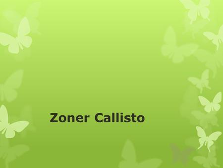 Zoner Callisto.