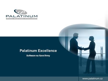Palatinum Excellence Software na řízení firmy. 1.Proč Software Excellence 2.Představení Software Excellence 3.Jak zavést do praxe Obsah Prezentace.