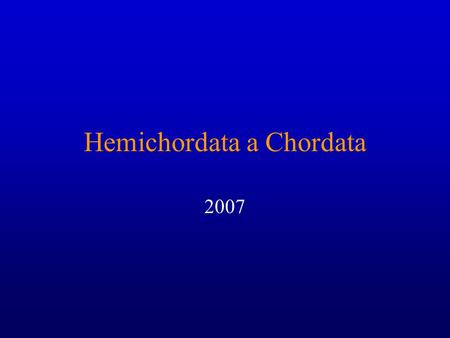 Hemichordata a Chordata