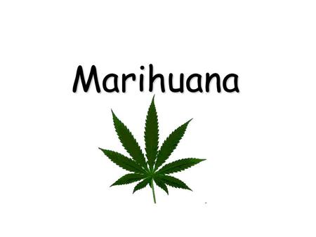 Marihuana.