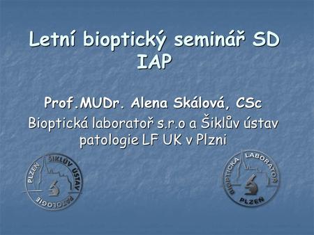 Letní bioptický seminář SD IAP