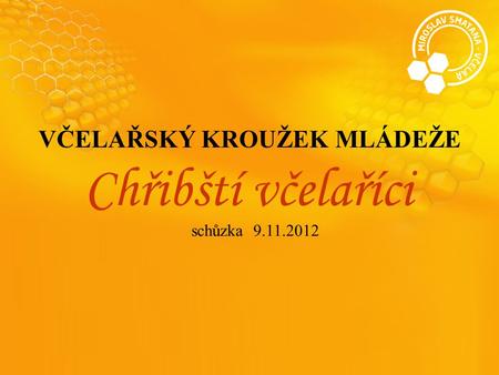 VČELAŘSKÝ KROUŽEK MLÁDEŽE Chřibští včelaříci schůzka 9.11.2012.