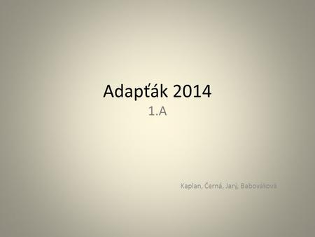 Adapťák 2014 1.A Kaplan, Černá, Jarý, Babováková.