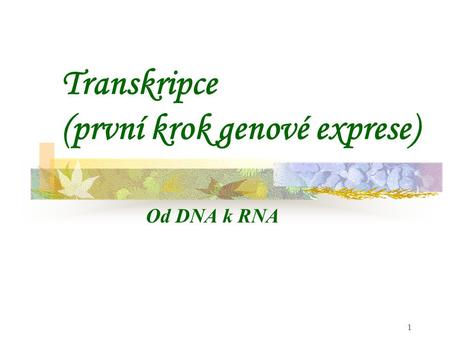 Transkripce (první krok genové exprese)