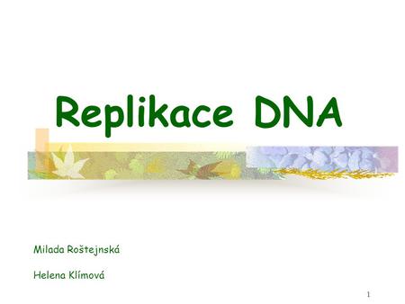 Replikace DNA Milada Roštejnská Helena Klímová